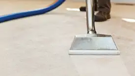 Carpet cleaning wand head gliding over a light carpet during hot-water extraction, Buffalo, NY.
