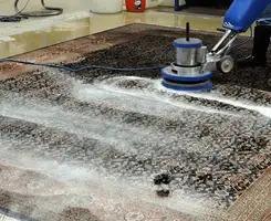 Professional rug cleaning with a rotary floor machine and shampoo foam, deep-cleaning an area rug, in Buffalo, NY.