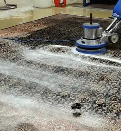 Professional rug cleaning with a rotary floor machine and shampoo foam, deep-cleaning an area rug Buffalo, NY.
